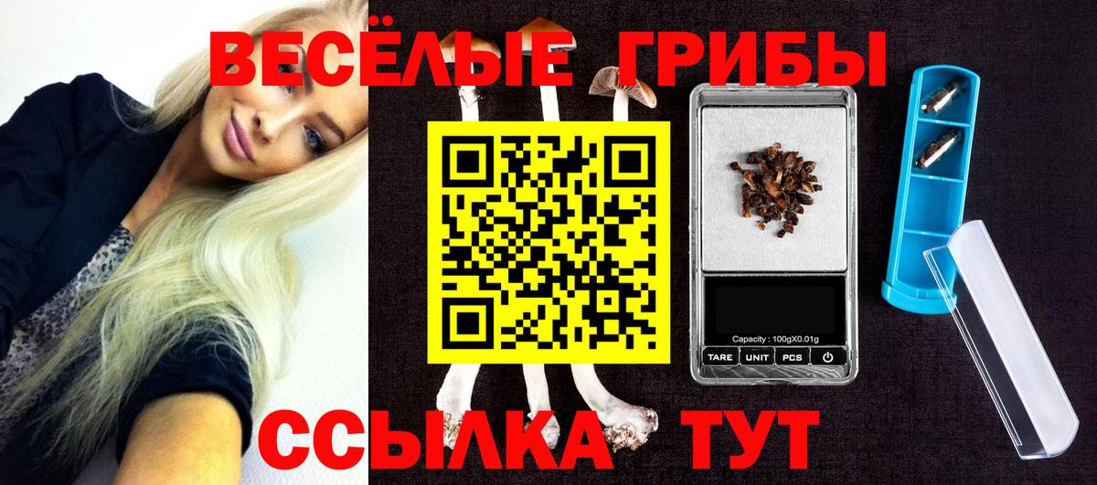 Галлюциногенные грибы Psilocybine cubensis Унеча